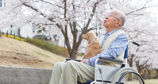 どうぶつとの暮らしを考える　“アニマルセラピー”って何だろう？