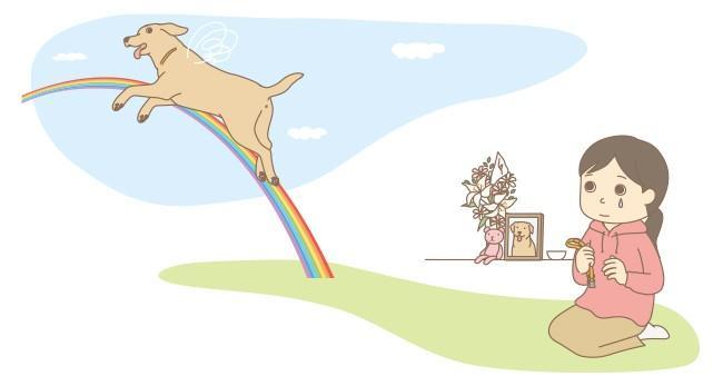 どうぶつとの暮らしを考える　“アニマルセラピー”って何だろう？